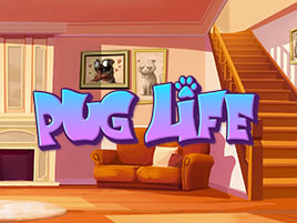 Pug Life - Hacksaw Gaming