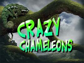 Crazy Chameleons