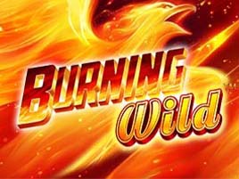 Burning Wild - Greentube