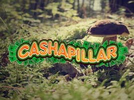 Cashapillar