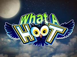 What A Hoot