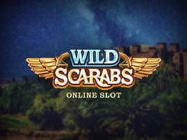 Wild Scarabs