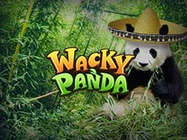 Wacky Panda