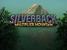Silverback Multiplier Mountain