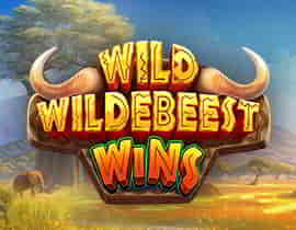 Wild Wildebeest Wins